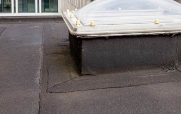 disadvantages of Muscliff flat roofs