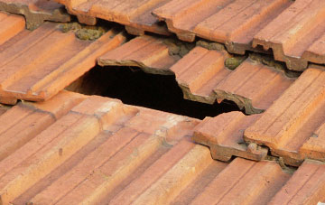 roof repair Muscliff, Dorset
