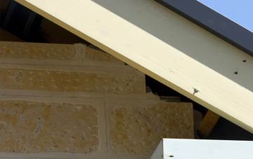 soffit repair Muscliff