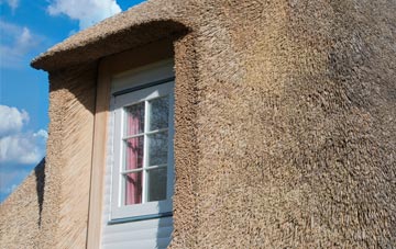 Muscliff thatch roof disadvantages