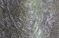 Muscliff fibreglass roof work