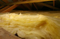 Muscliff pitch roof insulation
